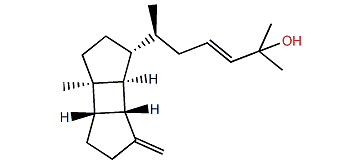 Leptoclalin A